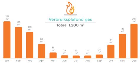 verbruiksplafond 2024|Het prijsplafond voor energie stopt in 2024